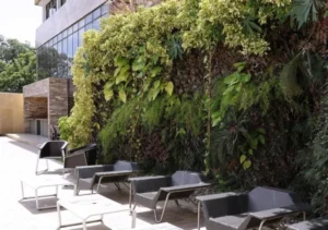 Eurobuilding Hotel & Suites Coro