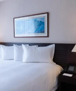 Eurobuilding Hotel & Suites Caracas