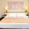 Hotel pipo Internacional