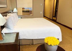 Hotel Eurobuilding & Suites Guayana
