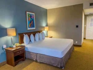Eurobuilding Express El Tigre