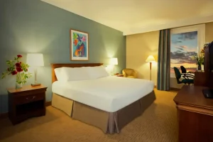 Eurobuilding Express El Tigre