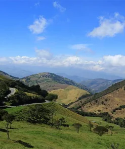 Táchira