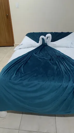 Hotel Manantial VIP