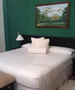Hotel Antigua Mision Parque & Spa