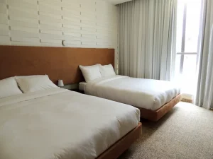 Hotel Gran Victoria