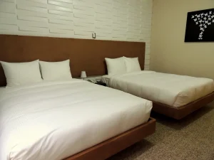 Hotel Gran Victoria