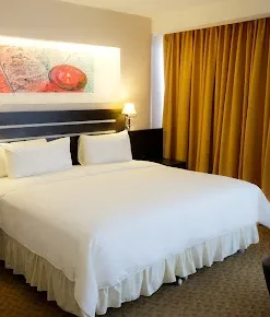 Hotel Plaza Merú