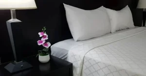 Gran Hotel CCP Suites
