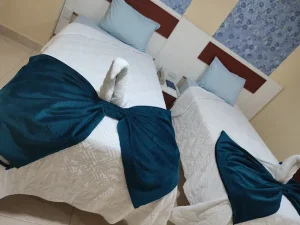 Hotel Manantial VIP
